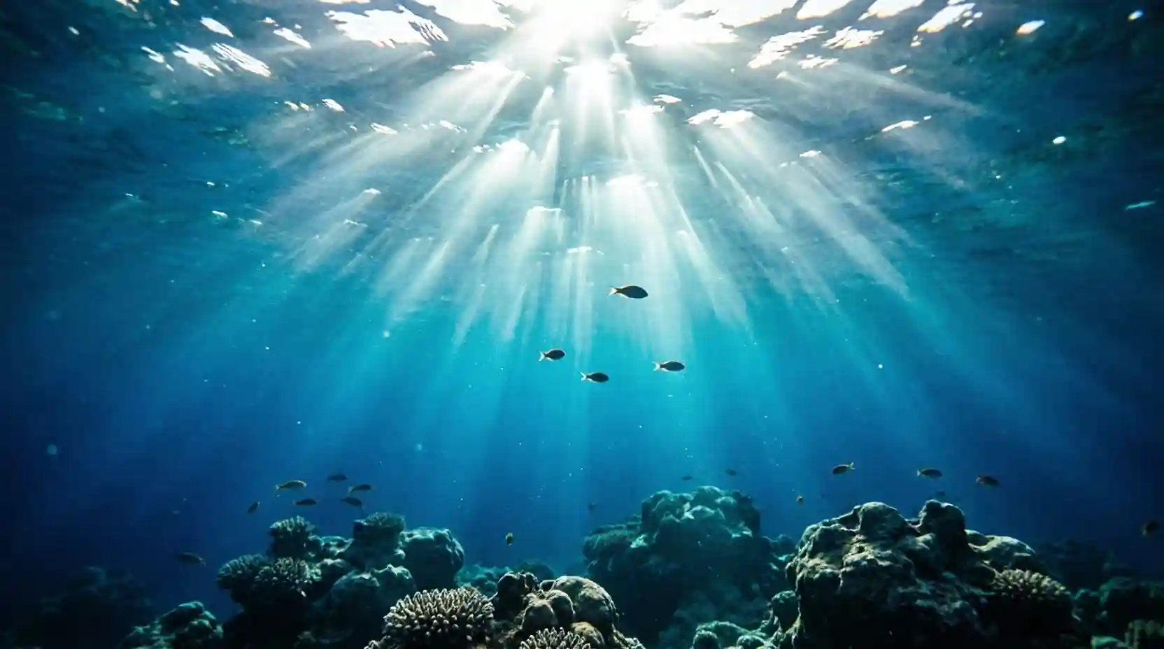 Sonnenstrahlen brechen durch die Wasseroberfläche und beleuchten die Unterwasserwelt